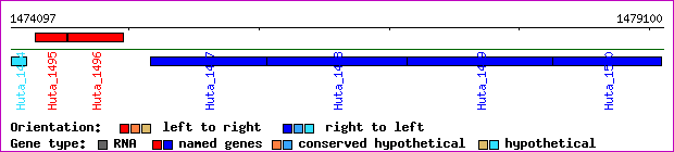 gene map