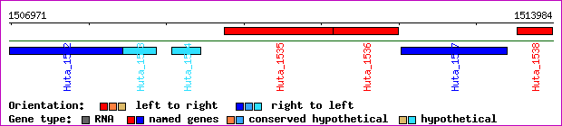 gene map