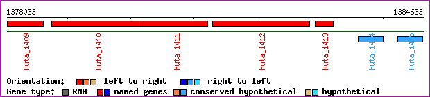 gene map