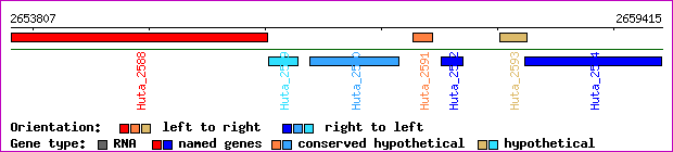 gene map