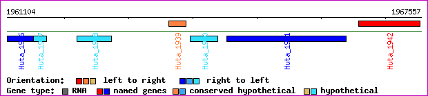 gene map