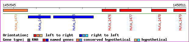 gene map