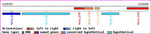 gene map