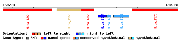 gene map