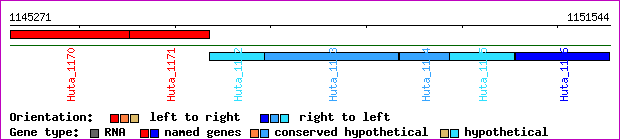 gene map