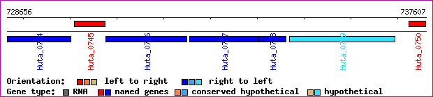 gene map