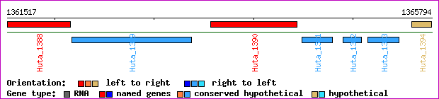 gene map