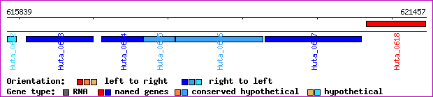 gene map
