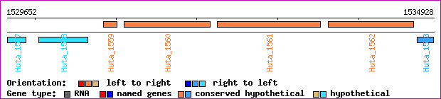 gene map