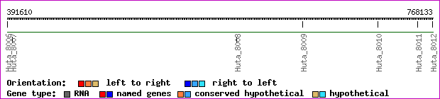 gene map