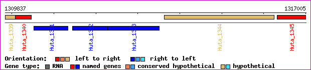 gene map
