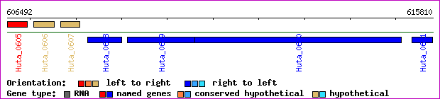 gene map