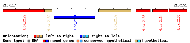gene map