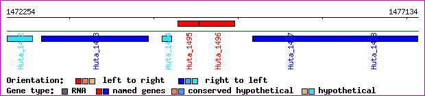 gene map