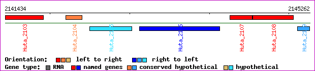 gene map