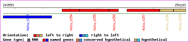 gene map