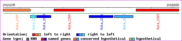 gene map