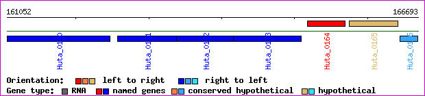 gene map
