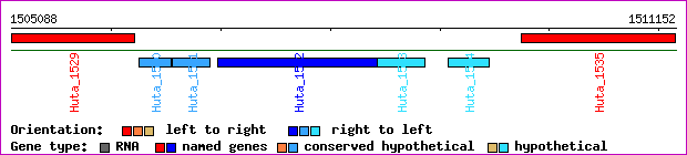 gene map