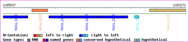 gene map