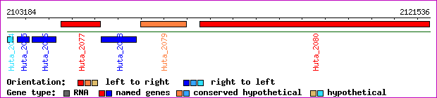 gene map