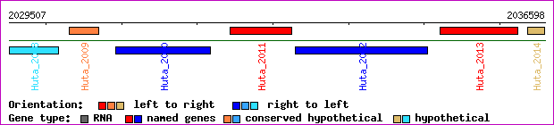 gene map