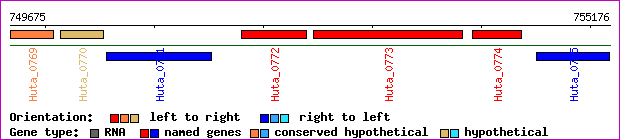 gene map
