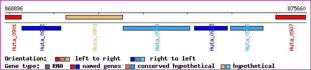 gene map