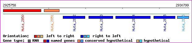 gene map