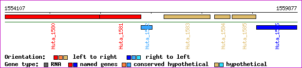 gene map