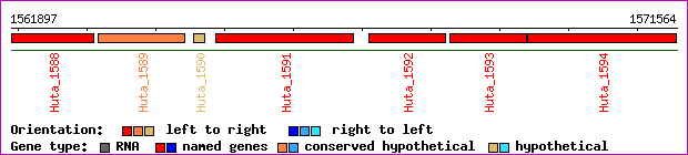 gene map