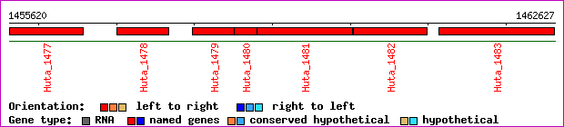 gene map