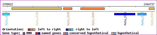 gene map