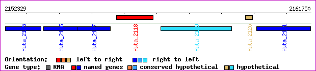 gene map