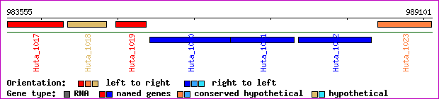 gene map