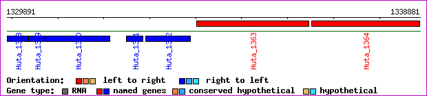 gene map
