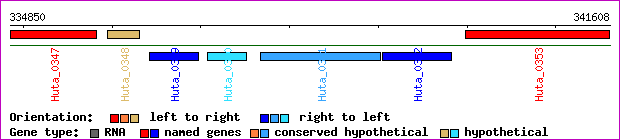 gene map