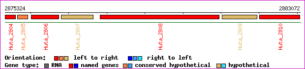gene map