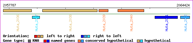 gene map