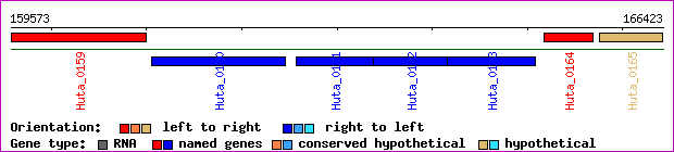 gene map