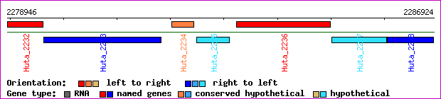 gene map