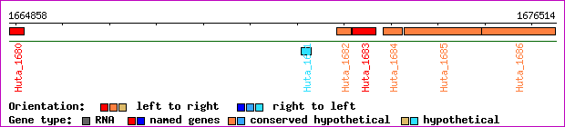 gene map