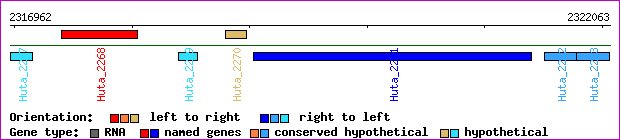 gene map