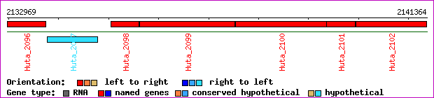 gene map