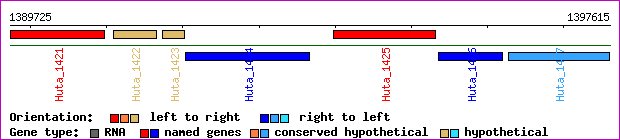 gene map