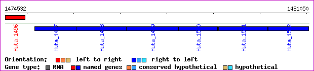 gene map