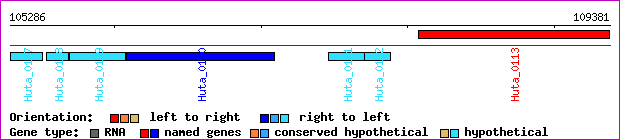 gene map