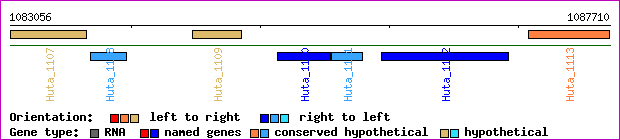 gene map