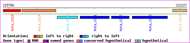 gene map