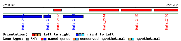 gene map